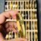 Gucci GG Golden Colour Lock Bracelet